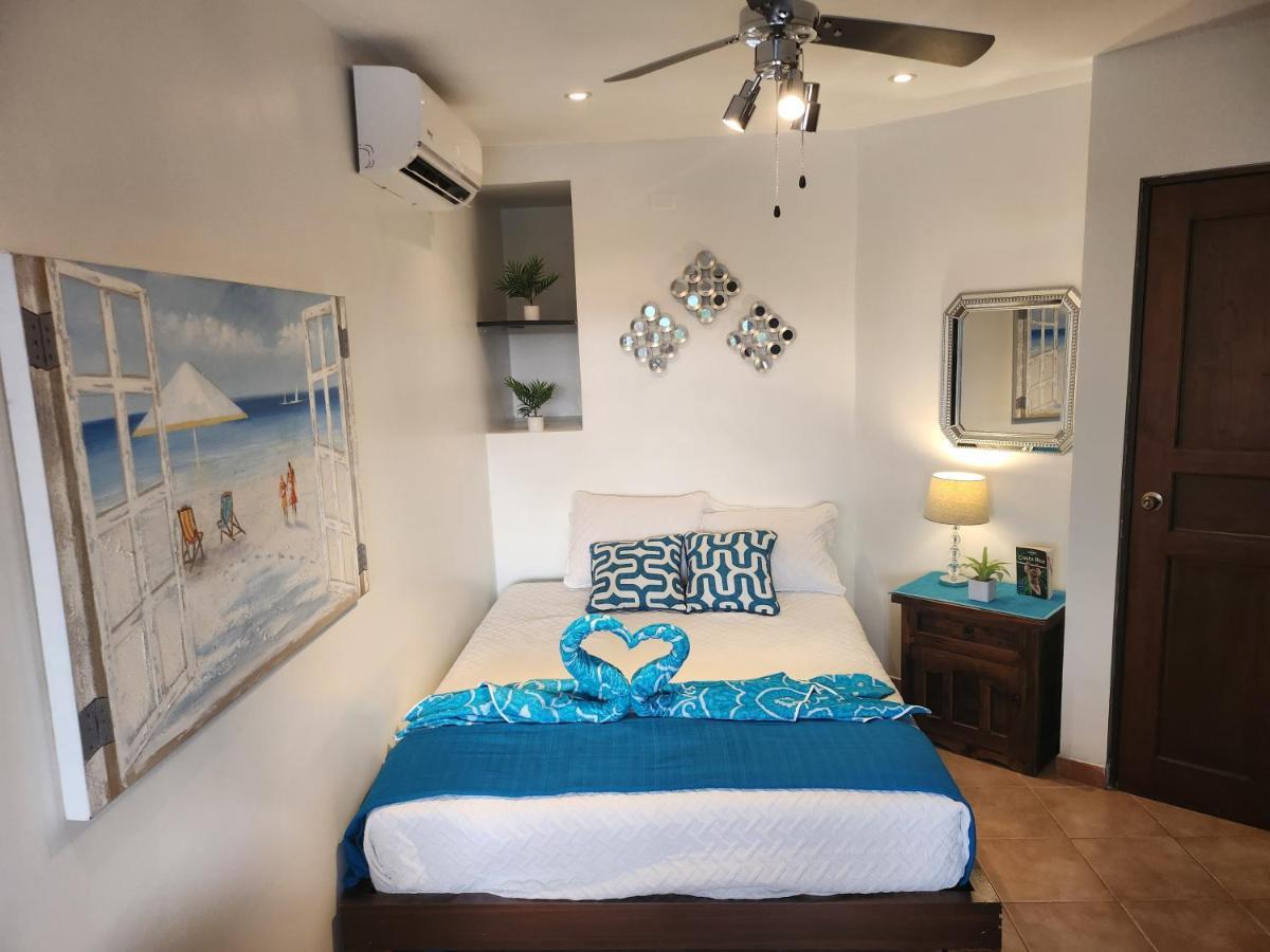 Amazing Oceanview Rooftop Terrace Walk To Beach كوكو المظهر الخارجي الصورة